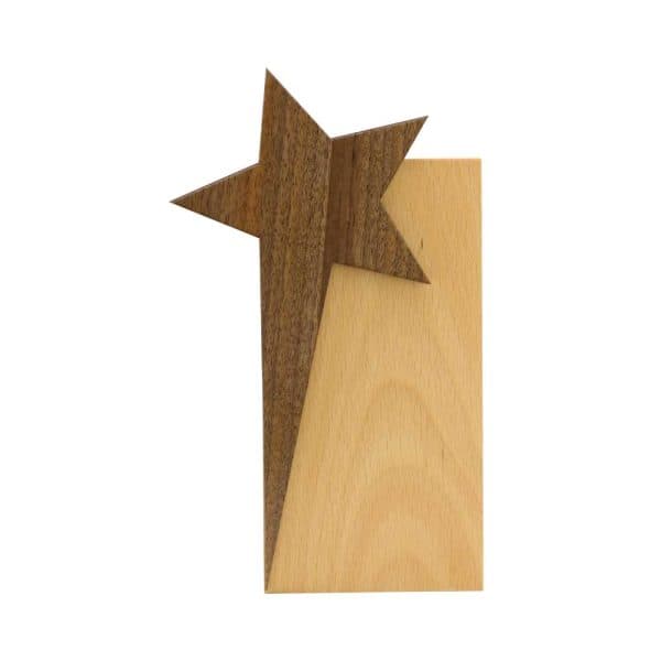 Star Design Wooden Trophy Award with Gift Box - View 1