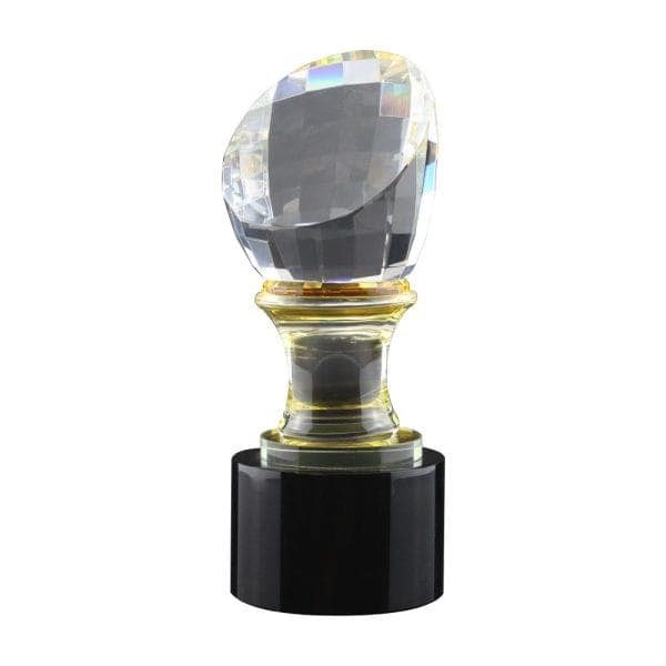 Crystal Glass Trophy in Wooden Box - View 1